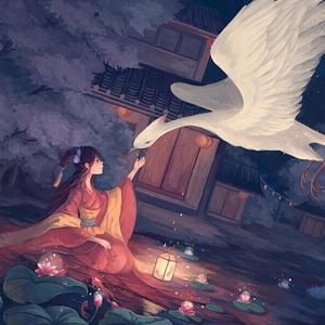 兼职报表小鲤导航
