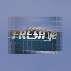 兼职报表小鲤导航
